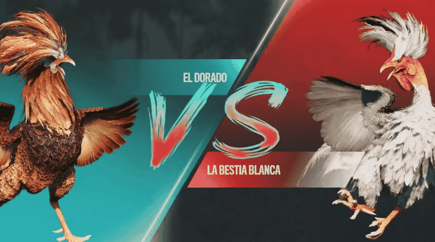 76q Login Casino Site oficial